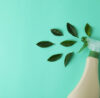 Eco Cleaning