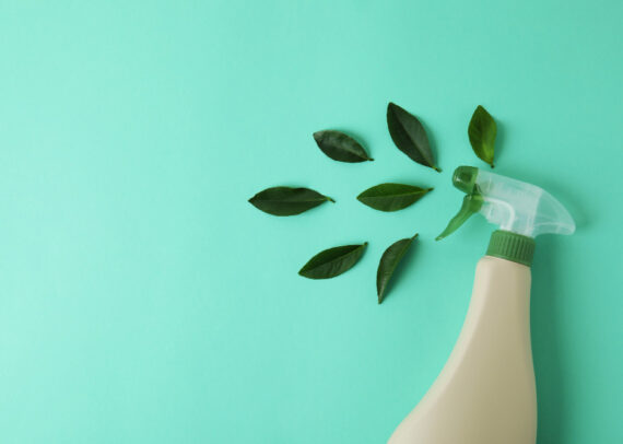 Eco Cleaning